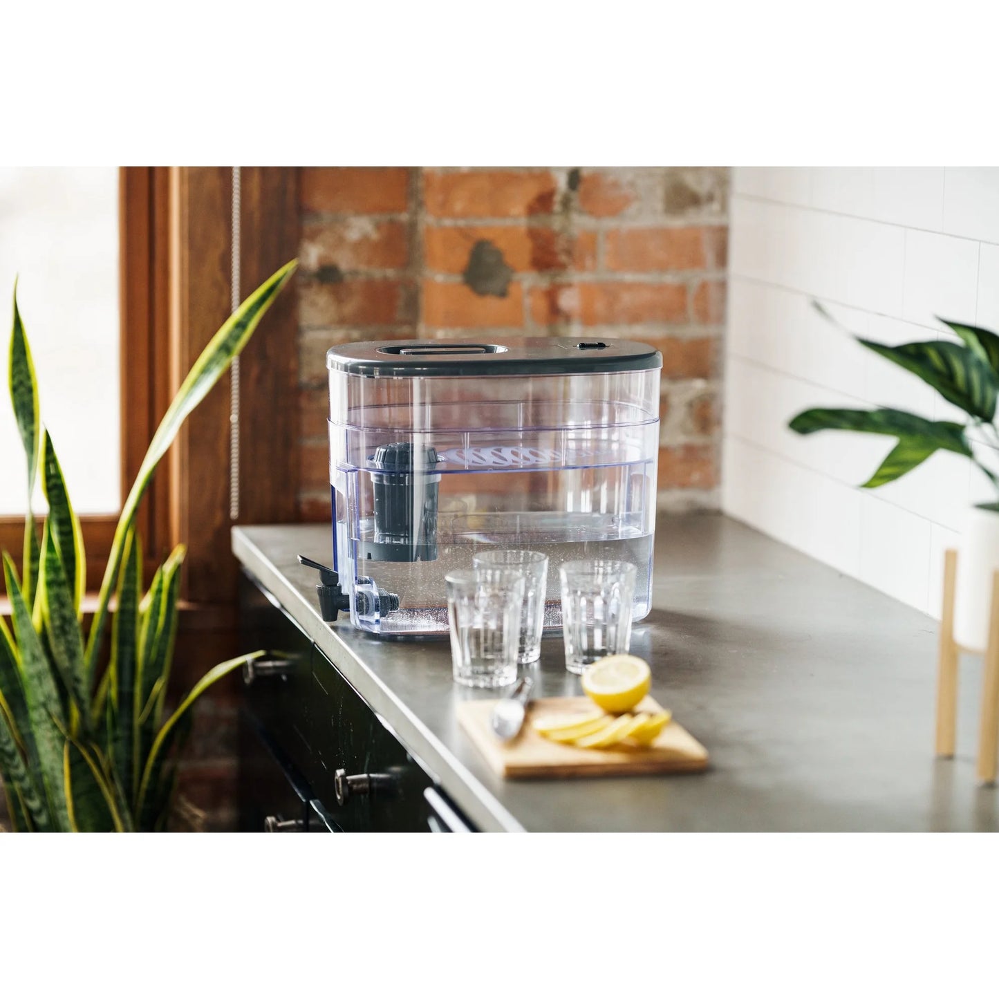 Puremaster Alkaline Water Purification Unit, pH001 Filter Included