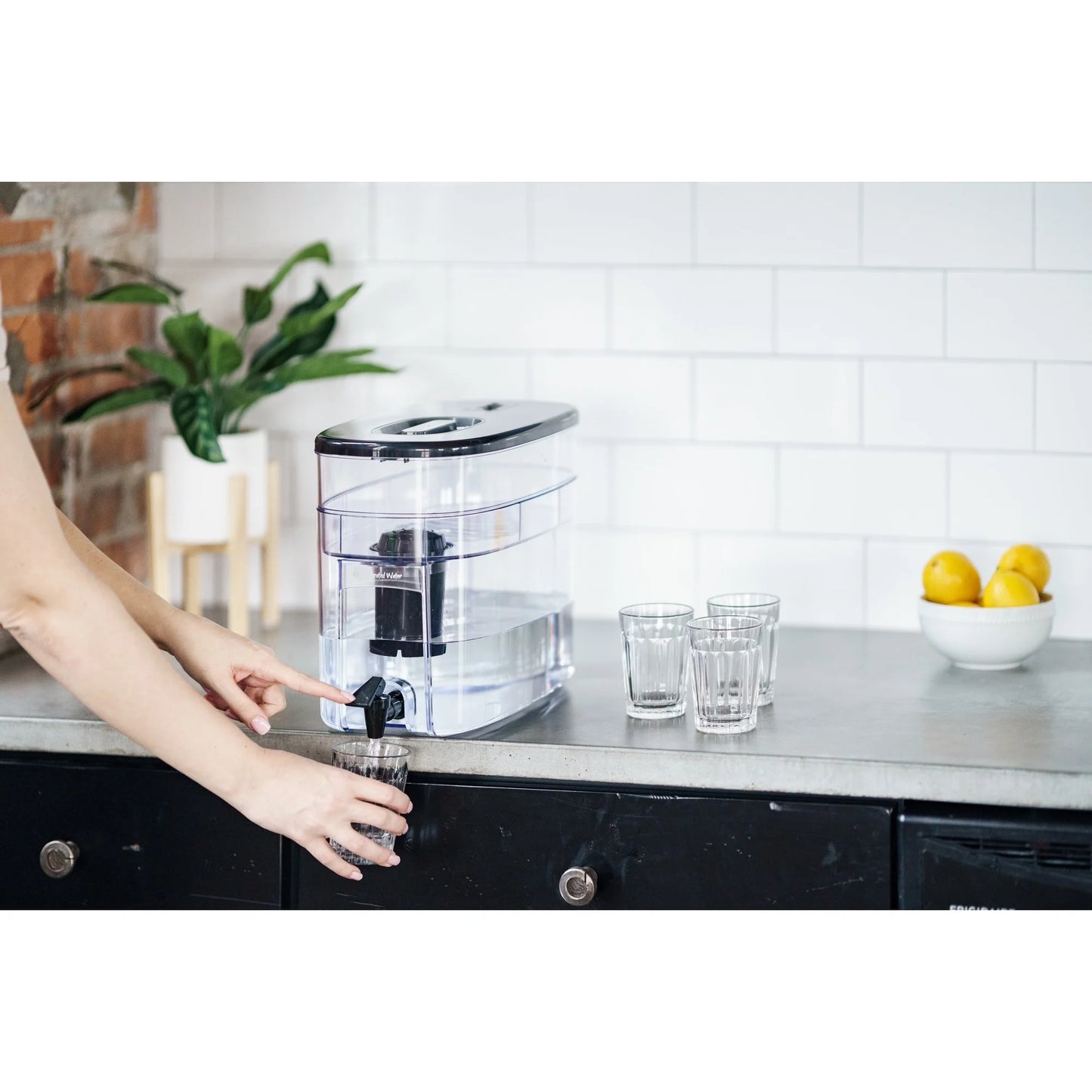 Puremaster Alkaline Water Purification Unit, pH001 Filter Included